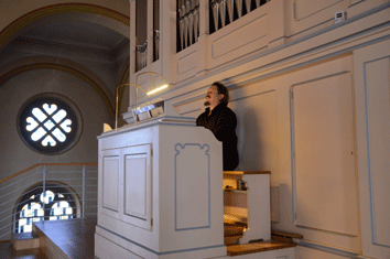 Bezirkskantor Johannes Mayr spielte auf der Walcker-Orgel 