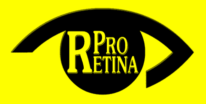 Hier kommen Sie zur Homepage von Pro Retina Deutcshland e.V.