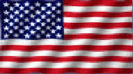 Web_USA_Flagge